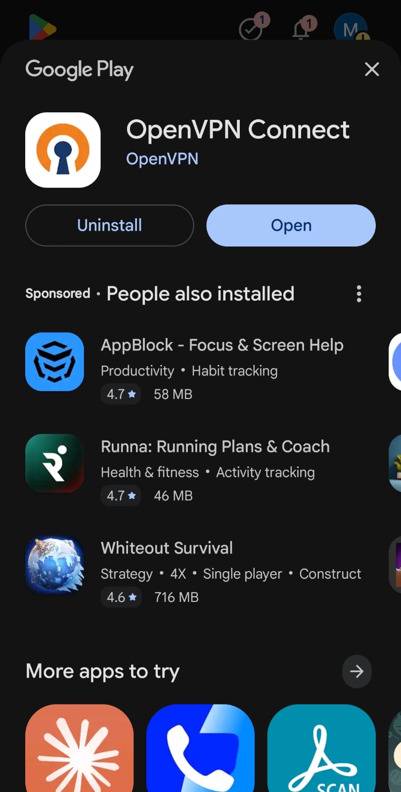 Click Open after installation